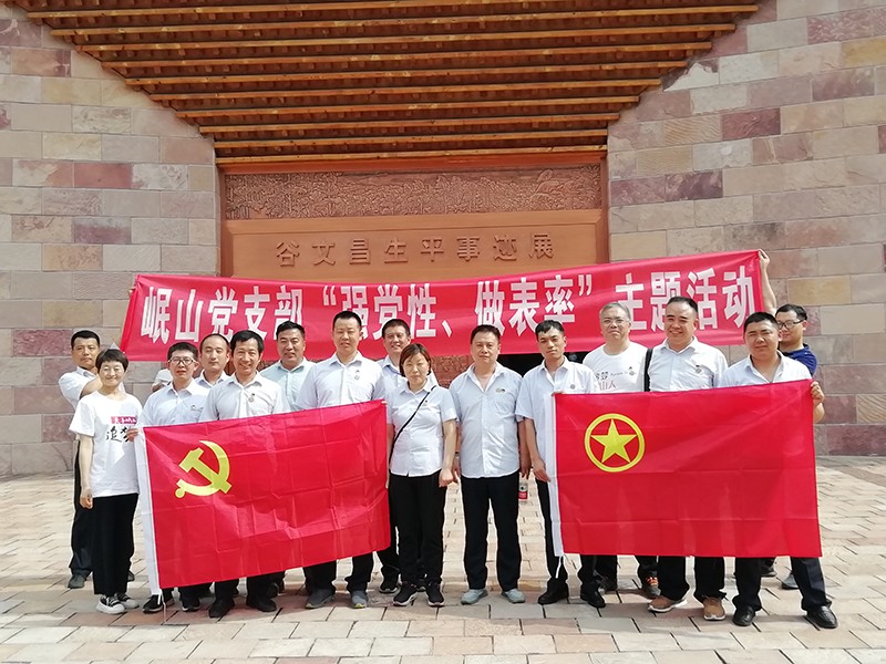 岷山黨支部“強(qiáng)黨性、做表率”主題活動(dòng)